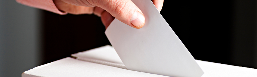 Democracy and Electoral Management