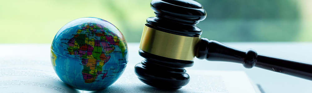 Droit international public :  droit international humanitaire et droits de l’homme